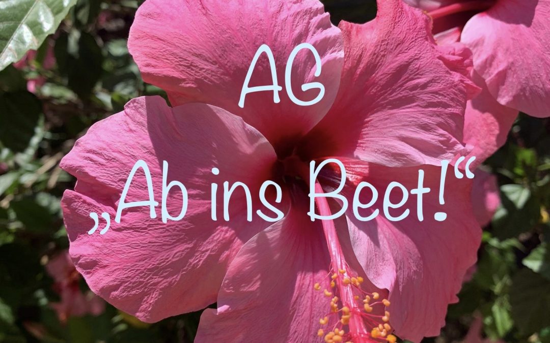AG Ab ins Beet