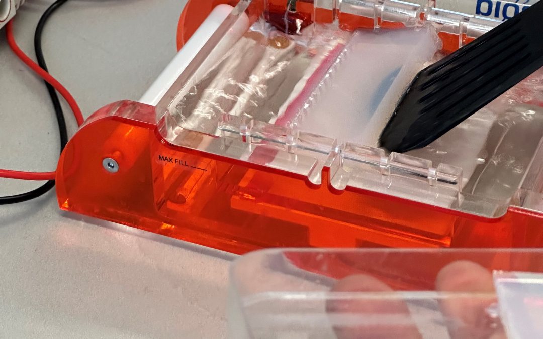 Vaterschaftstests, Tatort oder auf den Spuren unserer Vorfahren…